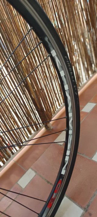 Goka Greenwich Carbono