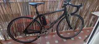 Goka Greenwich Carbono