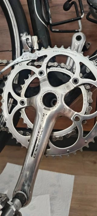 Goka Greenwich Carbono