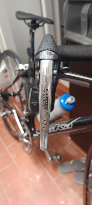 Goka Greenwich Carbono