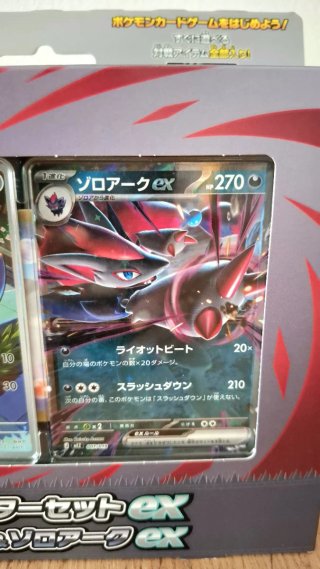 Set Pokémon Mega Starter ex
