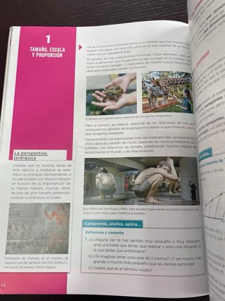 Educación plástica, visual y audiovisual, 1er c...