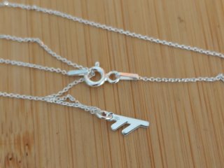 Runa Fehu Plata 925 abundancia