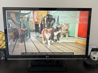 Televisor LG Negro