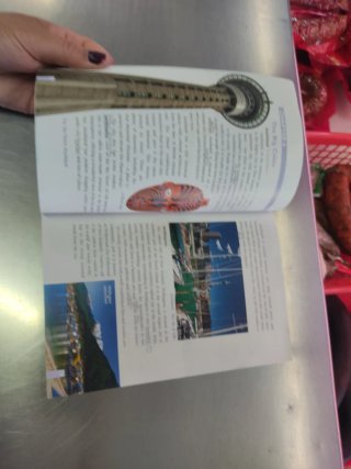 ALL ABOUT NEW ZEALAND 3ºESO