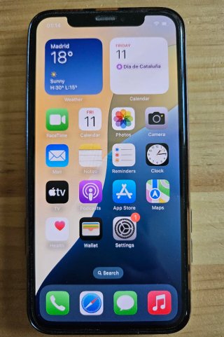 iPhone XS 256 GB Negro/Plateado (batería 73 %)