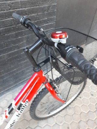 ❤️ Bicicleta Globe Trotter 24" Plata/Roja