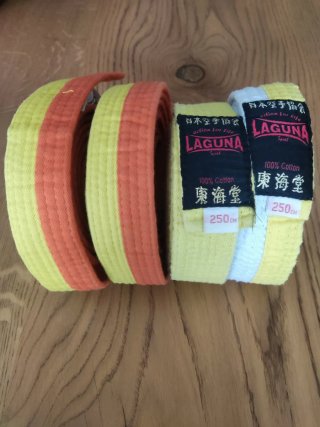 Cinturones Karate Laguna - Decathlon Talla 250cm
