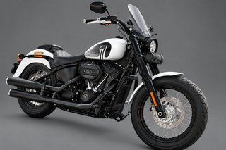 Harley-Davidson Cruiser Blanca y Negra