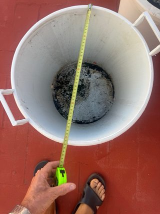 Maceta Grande 40L con Asas