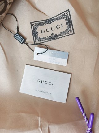 Borsa Gucci Beige e Marrone