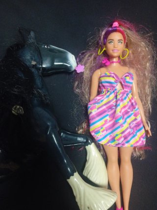 Barbie y Caballo Negro