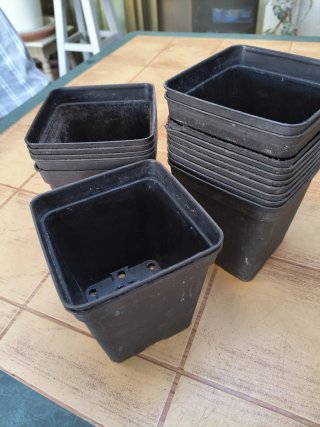 17 macetas cuadradas de plástico