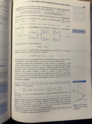 Analisi matematica. Con software