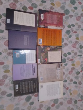 Lote 10 novelas historicas