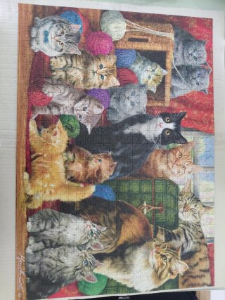 Puzzle 1000 piezas Gatos Marcello Corti