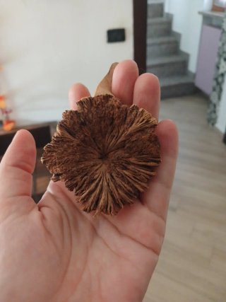 Papera in legno artigianale