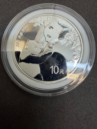Moneda Plata Panda China 2023 10 Yuan