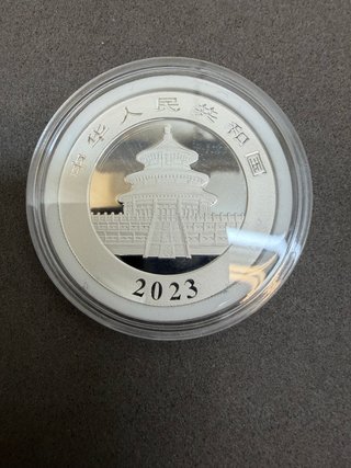 Moneda Plata Panda China 2023 10 Yuan