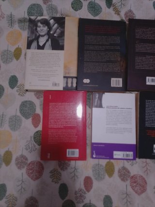 Lote 10 novelas historicas