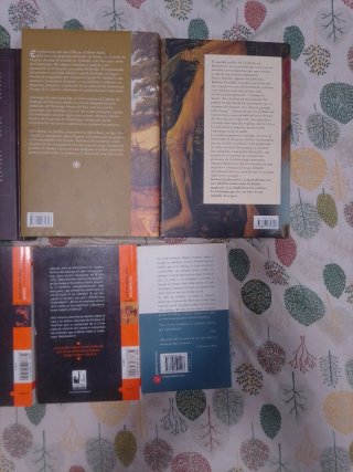 Lote 10 novelas historicas