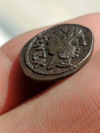 Moneda Ibérica Denario Baskunes