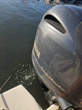 Lomac 675 IN - Barco Neumática