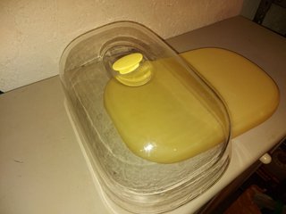 Contenitore Guzzini trasparente giallo