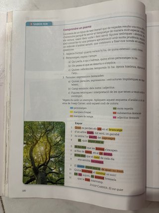 Llengua catalana i literatura, 4 ESO sèrie Comu...