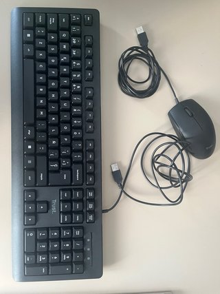 Teclado y Ratón USB Trust Negro