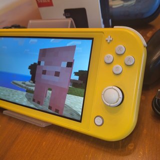 Bundle Nintendo Switch Lite + 2 Controller Nuovi
