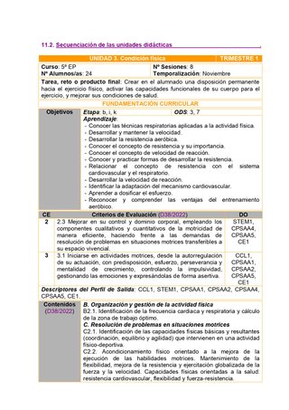 PROGRAMACION EDUCACION FISICA 5º EP (CYL)