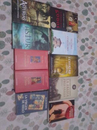 Lote 10 novelas historicas