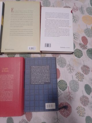 Lote 10 novelas historicas