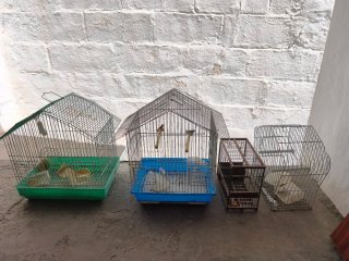 Jaulas para pájaros variadas
