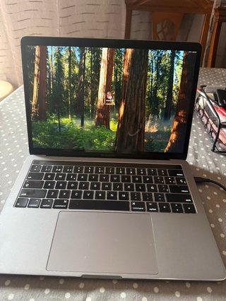 MacBook Pro 2018 Plata/Gris Espacial