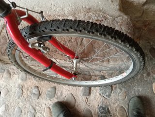 Bicicleta de Montaña