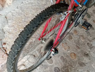 Bicicleta de Montaña