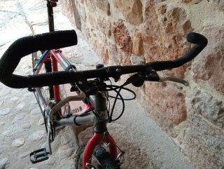 Bicicleta de Montaña