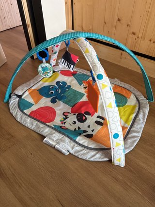 Gimnasio Bebé Baby Einstein