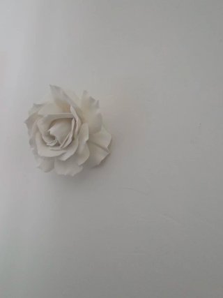 Rosa da muro decorativa