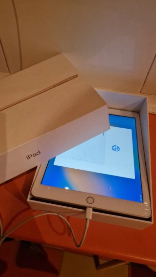Apple iPad Plata