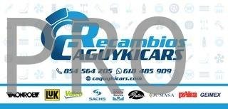 RECOGEDOR DE ANTICONGELANTE 18L 53215