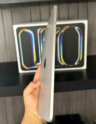 iPad Pro 11 M4 256GB como nuevo