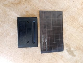 Alisia Dragoon Sega Mega Drive megadrive