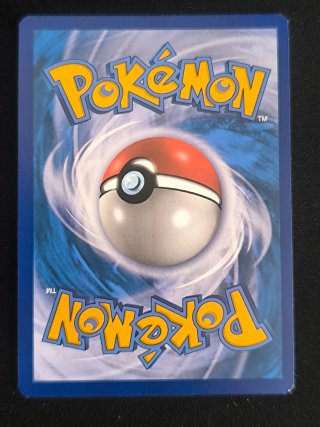 Lote Pokémon: Squirtle, Wartortle, Blastoise GX