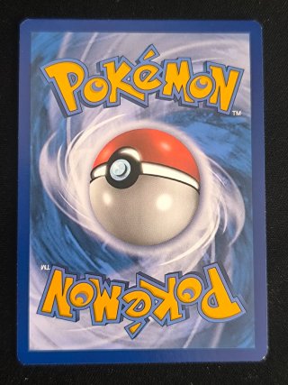 Lote Pokémon: Squirtle, Wartortle, Blastoise GX