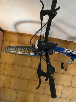 Bicicleta Globe Trotter 26
