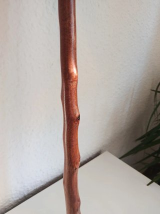 Bastón de piel y madera de Almez en piel de vacuno