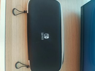 Custodia Nintendo Switch OLED e Normale